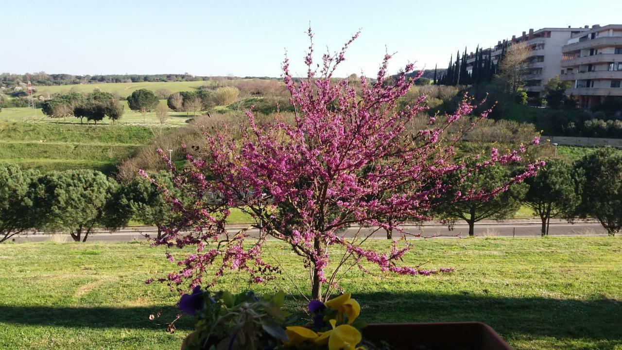 B&B Colline Verdi Vitinia Extérieur photo